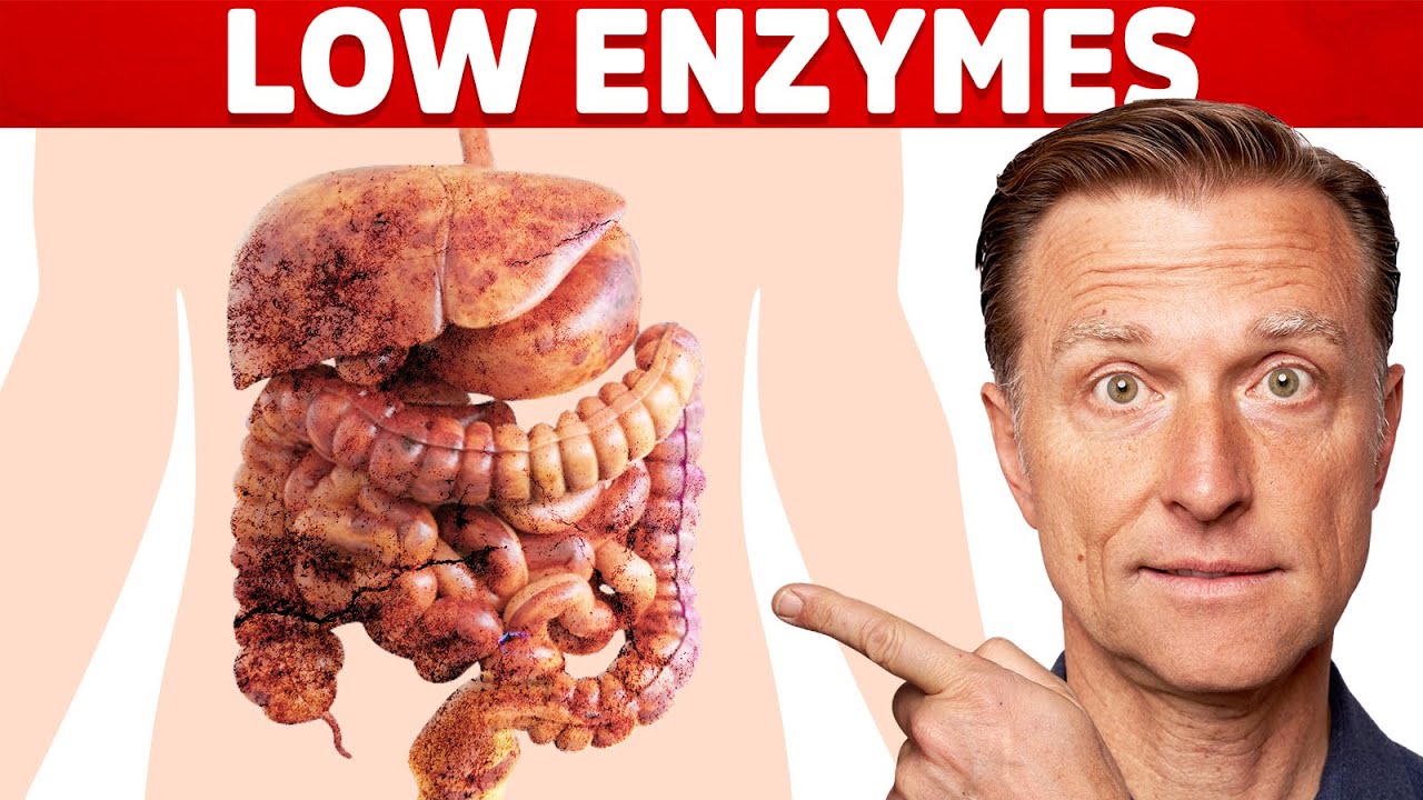 The Top Signs of a Digestive Enzyme Deficiency