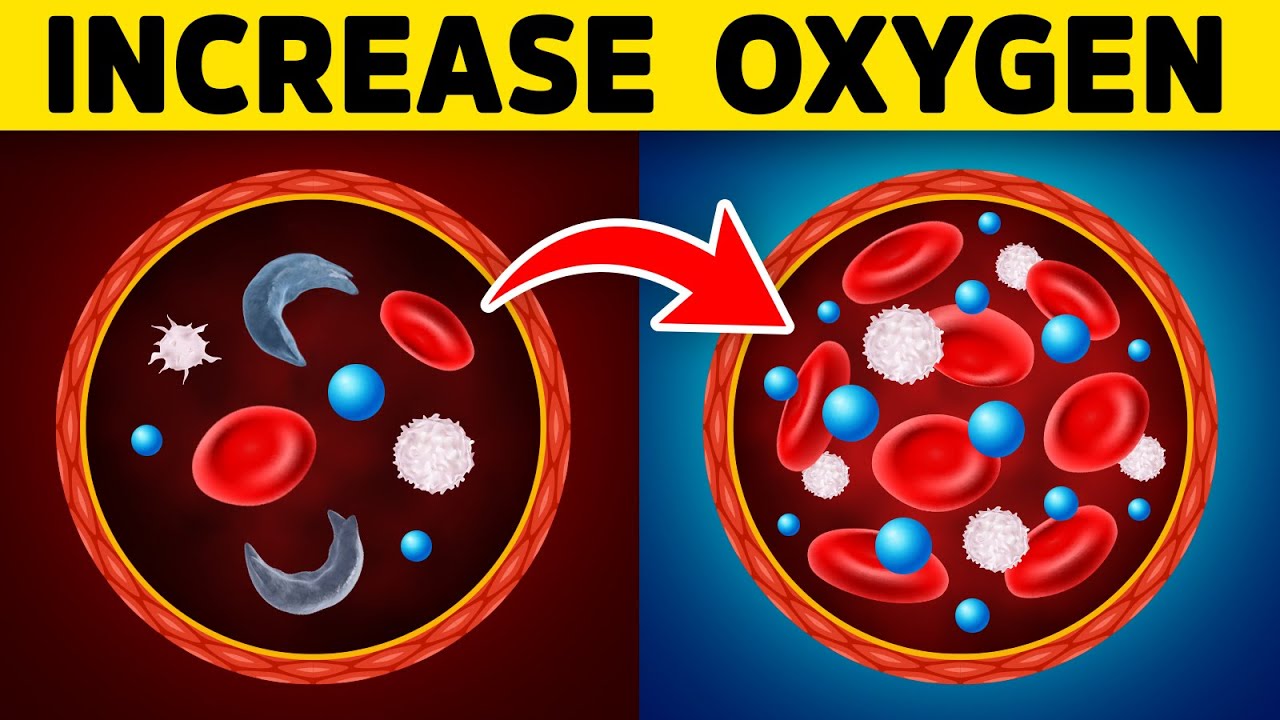 The Secret to Increasing More OXYGEN in Your Cells