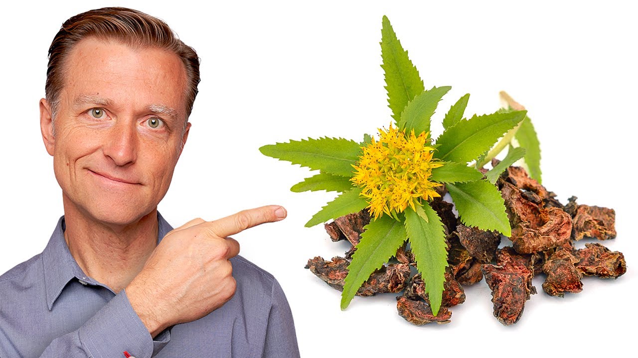 The Surprising Benefits of the RHODIOLA Herb for Exercise Endurance