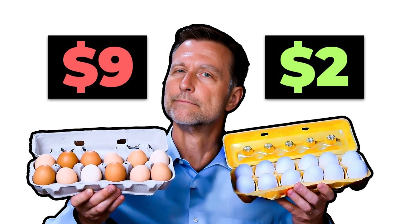 Are Expensive Eggs Really Worth It?