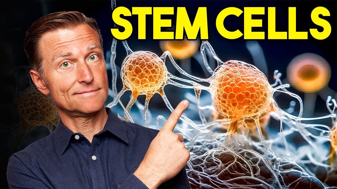 Regenerate Your Stem Cells